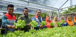 Hidroponik Sehati Kota Dumai