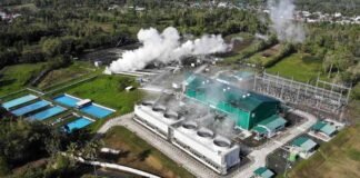 Pertamina Geothermal Energy
