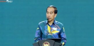 Pertumbuhan Ekonomi Indonesia