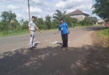jasa raharja kalsel