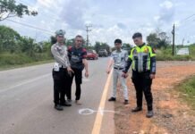 Kecelakaan Lalu Lintas