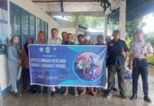 Korban Kecelakaan Lalu Lintas