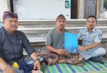 Kecelakaan di Denpasar