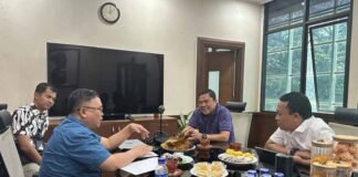 Evaluasi Pemutihan Pajak