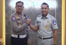 dan Kepatuhan Pajak
