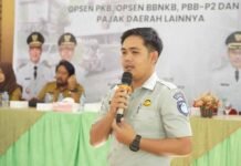 Lewat Program Pemutihan