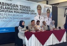 Pengemudi Angkutan Penumpang