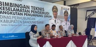Pengemudi Angkutan Penumpang