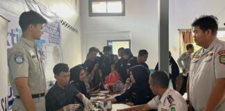 Dinas Perhubungan Palopo