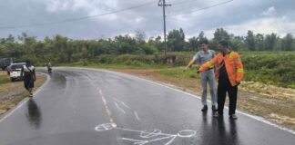 Santunan Korban Kecelakaan