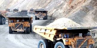 izin tambang Freeport