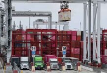 Neraca Dagang RI 2025 Ditopang Surplus Besar dari Amerika Serikat Neraca Dagang RI 2025