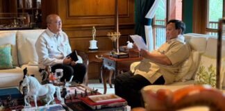 Target Setoran Danantara