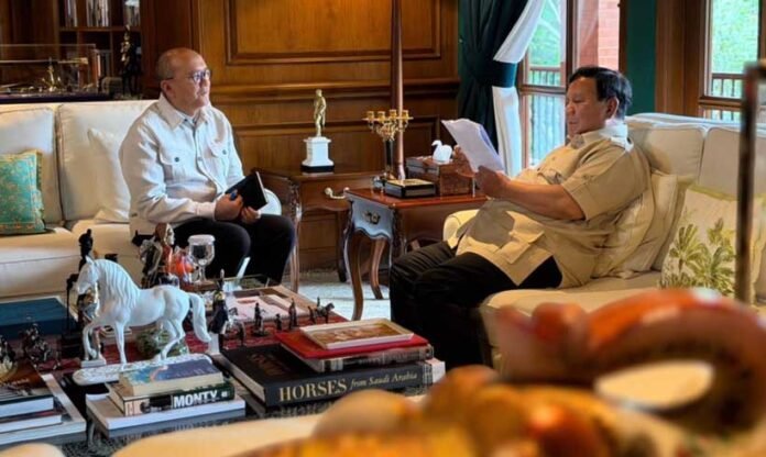 Target Setoran Danantara