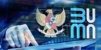 Kontribusi BUMN