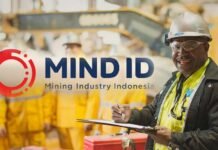 hilirisasi nasional