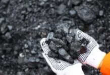 Revisi Harga DMO Batu Bara Dinilai Mampu Perkuat Profitabilitas PTBA Harga DMO Batu Bara