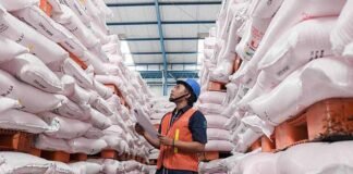 Tranformasi Pupuk Indonesia